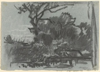 Forest Scene